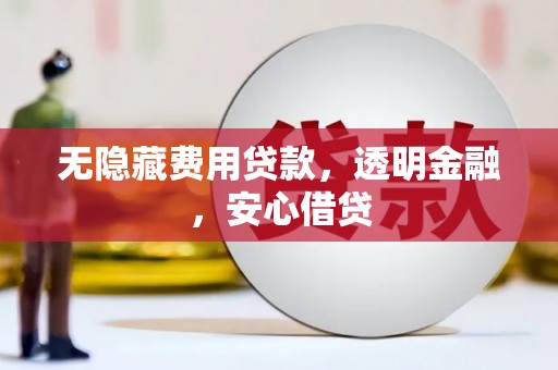 灵武无隐藏费用贷款，透明金融，安心借贷