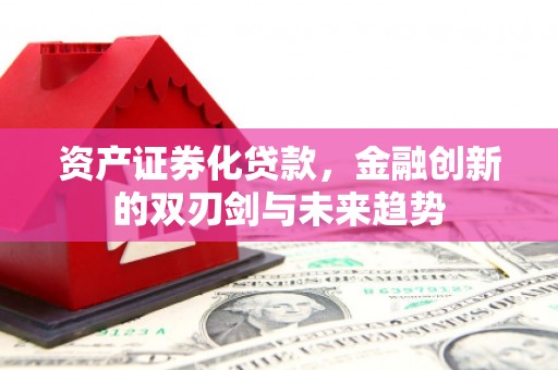 灵武资产证券化贷款，金融创新的双刃剑与未来趋势