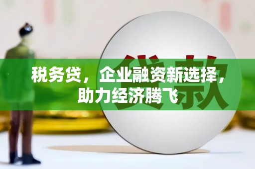 灵武税务贷，企业融资新选择，助力经济腾飞