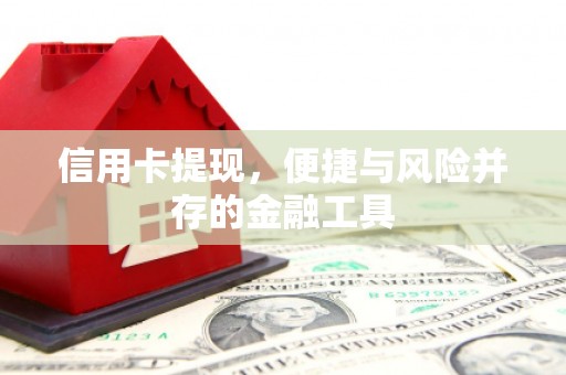 灵武信用卡提现，便捷与风险并存的金融工具