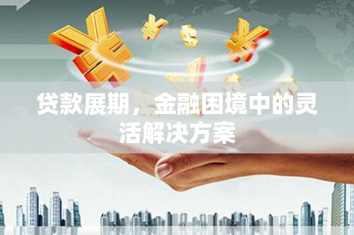 灵武贷款展期，金融困境中的灵活解决方案