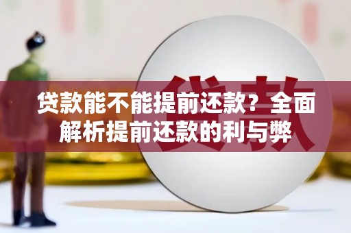 灵武贷款能不能提前还款？全面解析提前还款的利与弊