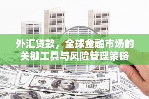 灵武外汇贷款，全球金融市场的关键工具与风险管理策略