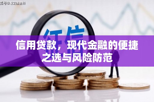 灵武信用贷款，现代金融的便捷之选与风险防范