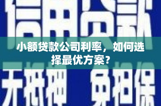 灵武小额贷款公司利率，如何选择最优方案？