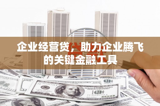 灵武企业经营贷，助力企业腾飞的关键金融工具