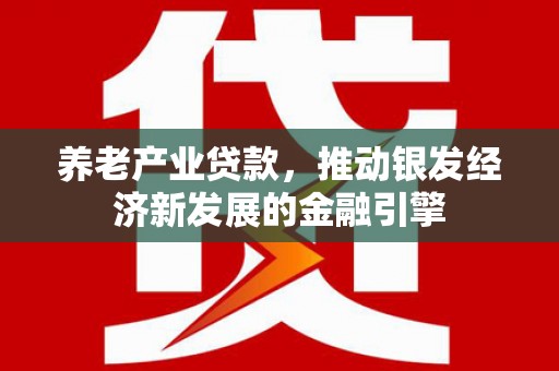 灵武养老产业贷款，推动银发经济新发展的金融引擎