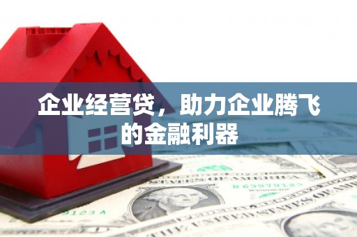 灵武企业经营贷，助力企业腾飞的金融利器