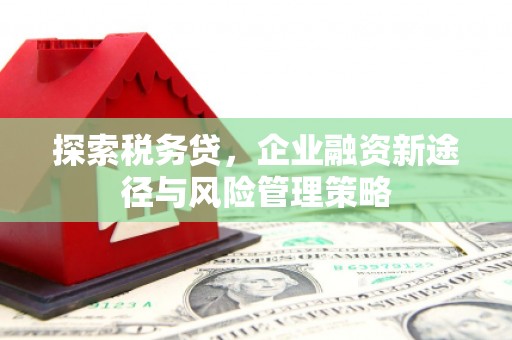 灵武探索税务贷，企业融资新途径与风险管理策略