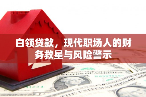 灵武白领贷款，现代职场人的财务救星与风险警示
