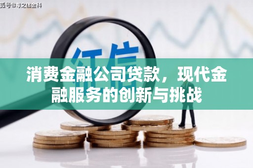 灵武消费金融公司贷款，现代金融服务的创新与挑战