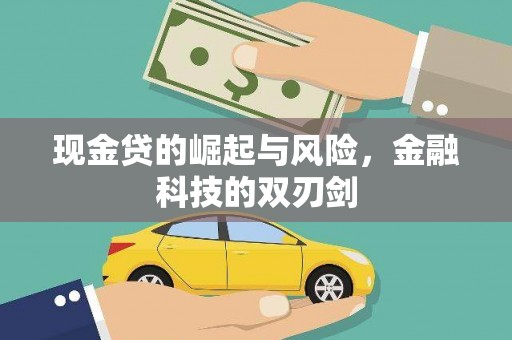 灵武现金贷的崛起与风险，金融科技的双刃剑