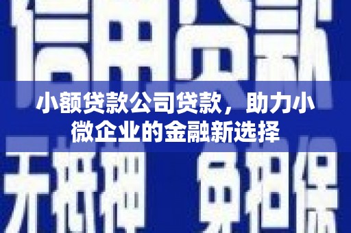 灵武小额贷款公司贷款，助力小微企业的金融新选择