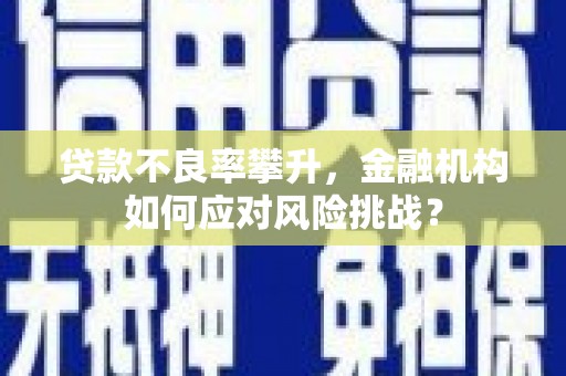 灵武贷款不良率攀升，金融机构如何应对风险挑战？