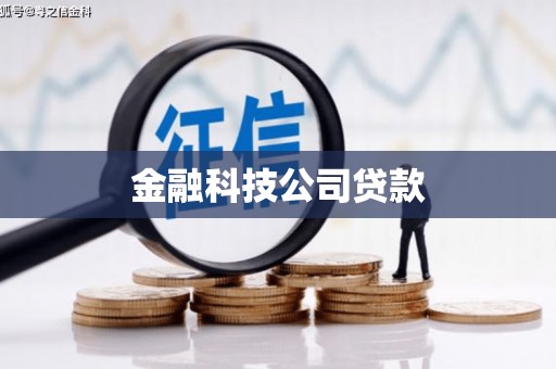 灵武金融科技公司贷款