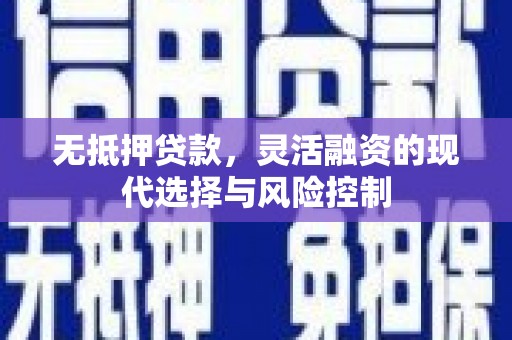灵武无抵押贷款，灵活融资的现代选择与风险控制