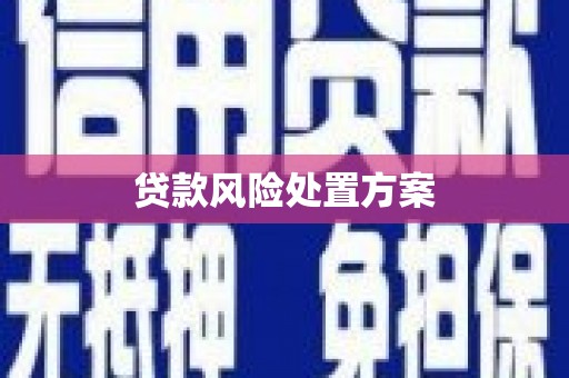 灵武贷款风险处置方案