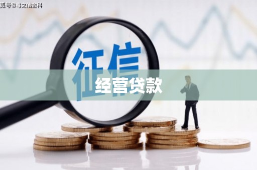 灵武经营贷款