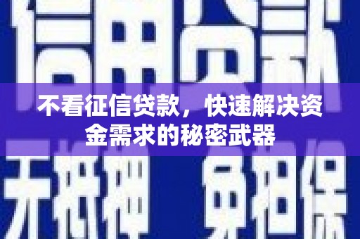 灵武不看征信贷款，快速解决资金需求的秘密武器