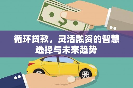 灵武循环贷款，灵活融资的智慧选择与未来趋势