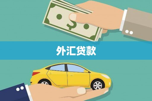 灵武外汇贷款