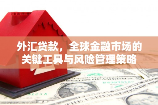 灵武外汇贷款，全球金融市场的关键工具与风险管理策略