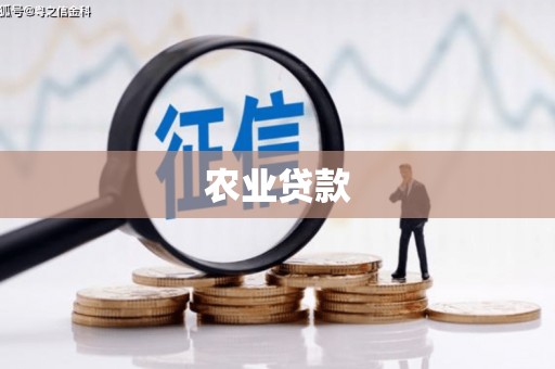 灵武农业贷款