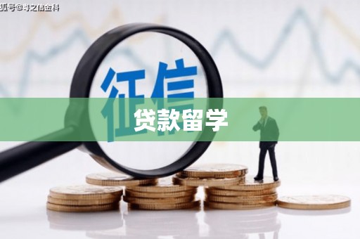 灵武贷款留学