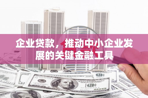 灵武企业贷款，推动中小企业发展的关键金融工具