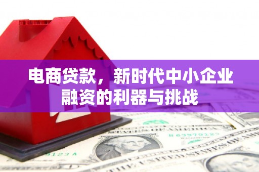 灵武电商贷款，新时代中小企业融资的利器与挑战