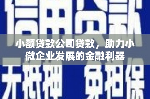 灵武小额贷款公司贷款，助力小微企业发展的金融利器