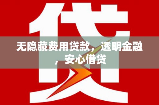 灵武无隐藏费用贷款，透明金融，安心借贷