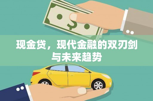 灵武现金贷，现代金融的双刃剑与未来趋势