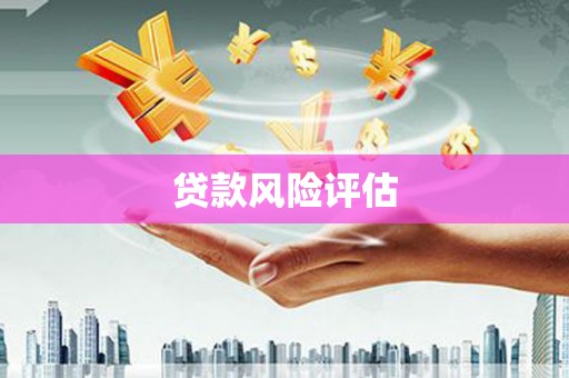 灵武贷款风险评估