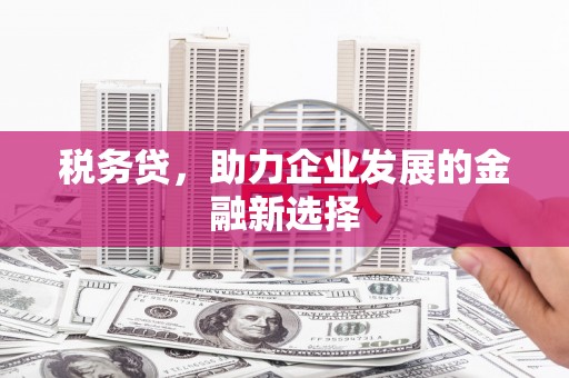 灵武税务贷，助力企业发展的金融新选择