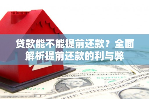灵武贷款能不能提前还款？全面解析提前还款的利与弊