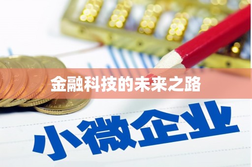 灵武金融科技的未来之路