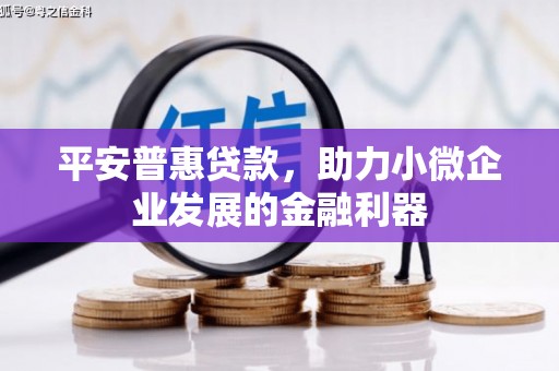 灵武平安普惠贷款，助力小微企业发展的金融利器