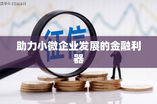 灵武助力小微企业发展的金融利器