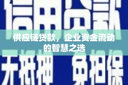 灵武供应链贷款，企业资金流动的智慧之选