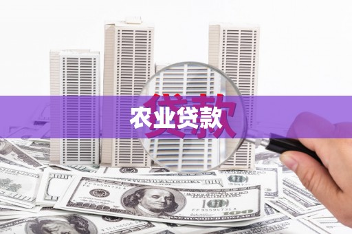灵武农业贷款
