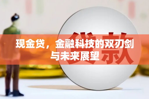 灵武现金贷，金融科技的双刃剑与未来展望