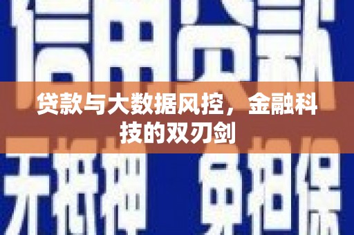 灵武贷款与大数据风控，金融科技的双刃剑