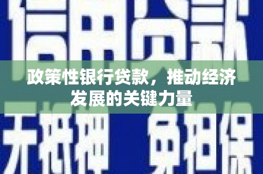 灵武政策性银行贷款，推动经济发展的关键力量