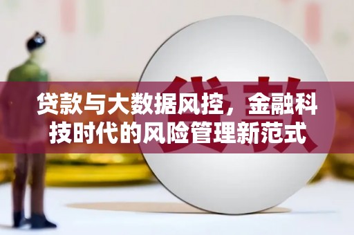 灵武贷款与大数据风控，金融科技时代的风险管理新范式