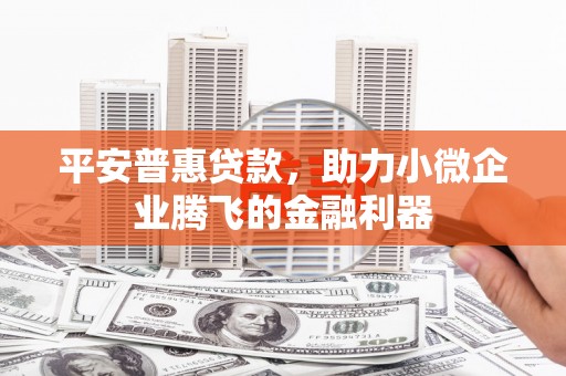 灵武平安普惠贷款，助力小微企业腾飞的金融利器