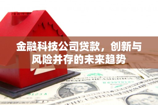 灵武金融科技公司贷款，创新与风险并存的未来趋势