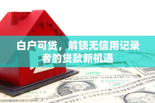 灵武白户可贷，解锁无信用记录者的贷款新机遇