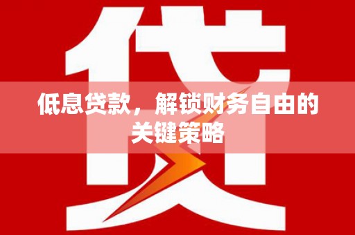 灵武低息贷款，解锁财务自由的关键策略
