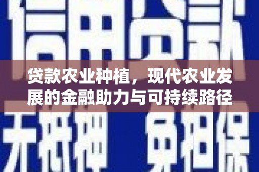 灵武贷款农业种植，现代农业发展的金融助力与可持续路径